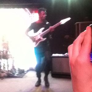 Animals as Leaders